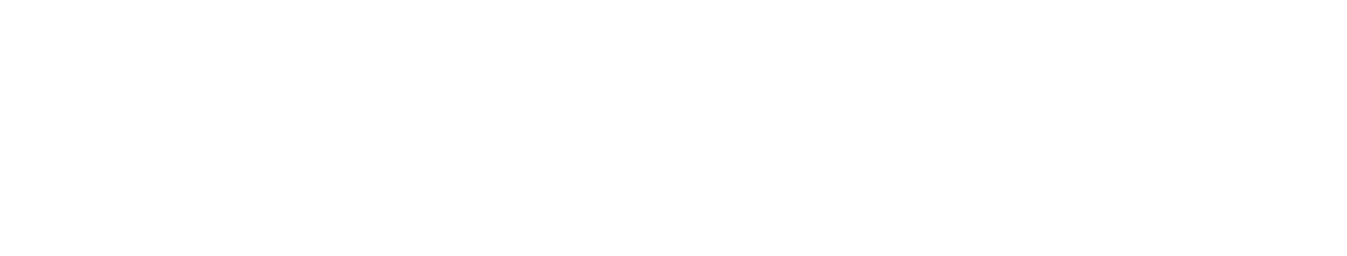DZ Consulting